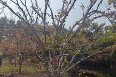 IMG-20250926-WA0081