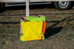 DSC_1446